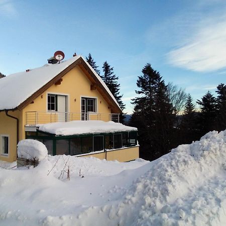 Ferienhaus Anna セメリング エクステリア 写真